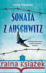 Sonata z Auschwitz Luize Valente 9788380748651 Bukowy Las - książka