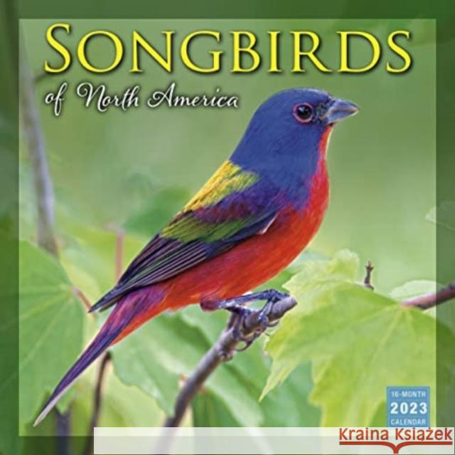 SONGBIRDS OF NORTH AMERICA SELLERS PUBLISHING 9781531916398 GLOBAL PUBLISHER SERVICES - książka