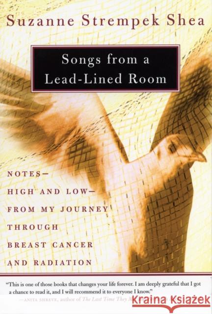 Songs from a Lead-Lined Room Strempek, Shea Suzanne 9780807072158 Beacon Press - książka