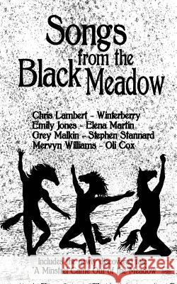 Songs from the Black Meadow Chris Lambert 9781502305398 Createspace - książka