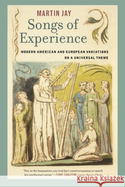 Songs of Experience: Modern American and European Variations on a Universal Theme Jay, Martin 9780520248236  - książka