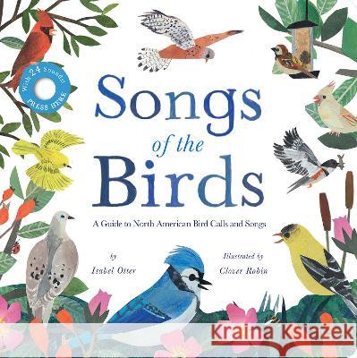 Songs of the Birds Isabel Otter Clover Robin 9781664351097 Tiger Tales - książka
