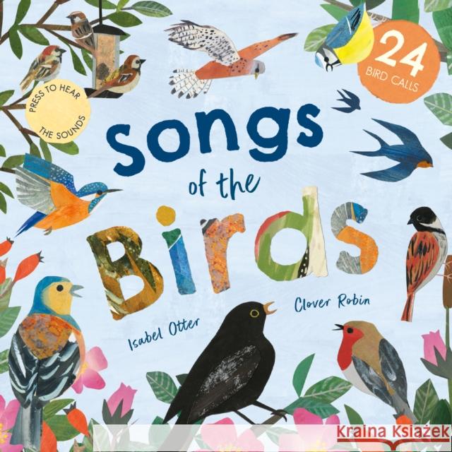 Songs of the Birds Isabel Otter 9781838914929 Little Tiger Press Group - książka