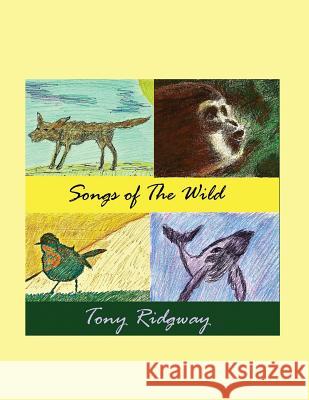 Songs of the Wild Tony Ridgway, Tony Ridgway 9781614773023 Bellissima Publishing - książka