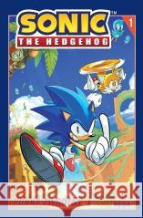 Sonic the Hedgehog T.1 Punkt zwrotny 1 Ian Flynn, Tracy Yardley, Adam Bryce Thomas 9788324185368 Amber - książka