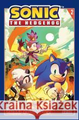 Sonic the Hedgehog T.2 Punkt zwrotny 2 Ian Flynn, Tracy Yardley, Adam Bryce Thomas 9788324185375 Amber - książka