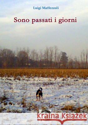 Sono Passati I Giorni Luigi Maffezzoli 9781291349146 Lulu.com - książka