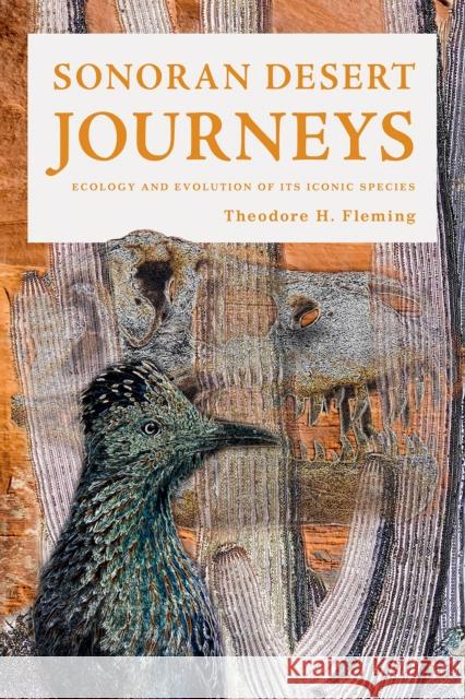 Sonoran Desert Journeys: Ecology and Evolution of Its Iconic Species Theodore H. Fleming 9780816547296 University of Arizona Press - książka