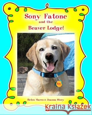 Sony Fatone and the Beaver Lodge Helen M. Marrs Joanna C. Story 9781468183399 Createspace - książka