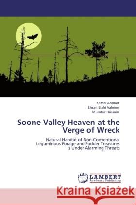 Soone Valley Heaven at the Verge of Wreck Ahmad, Kafeel, Valeem, Ehsan Elahi, Hussain, Mumtaz 9783847310785 LAP Lambert Academic Publishing - książka