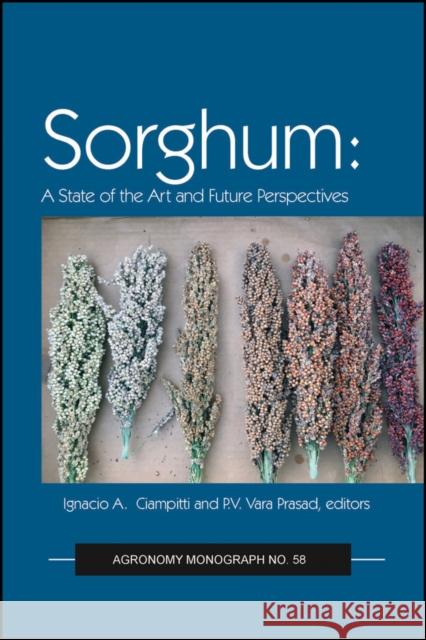 Sorghum: State of the Art and Future Perspectives Ignacio A. Ciampitti P. V. Vara Prasad 9780891186274 Wiley - książka