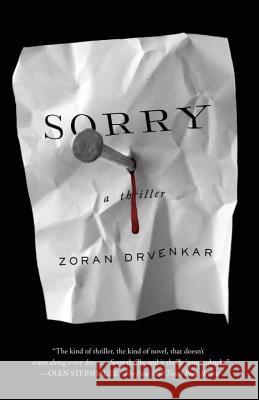 Sorry Zoran Drvenkar 9780307475169 Vintage Books - książka