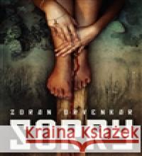 Sorry Zoran Drvenkar 9788025707081 Argo - książka