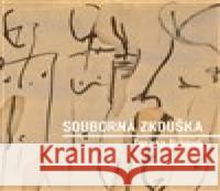 Souborná zkouška Tereza Bínová 9788090944794 Dobrý důvod - książka