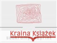 Soukromý labyrint Michal Matzenauer 9788086862866 Dybbuk - książka