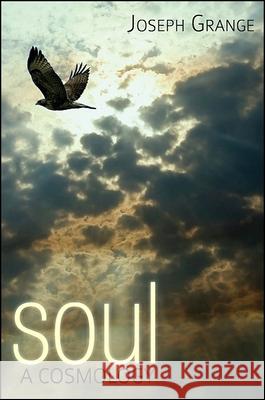 Soul: A Cosmology Joseph Grange 9781438433882 State University of New York Press - książka