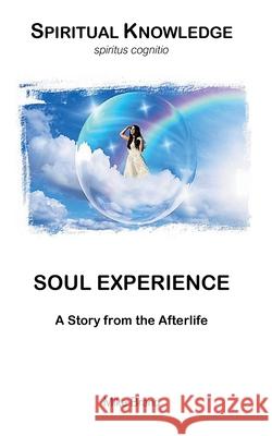 Soul Experience: A Story from the Afterlife Mike Brand 9783695728565 Bod - Books on Demand - książka
