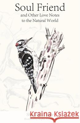 Soul Friend: And Other Love Notes to the Natural World Sheila McEntee 9781963614091 Blackwater Press - książka