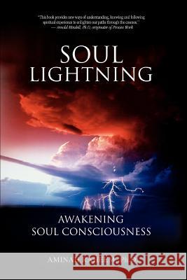 Soul Lightning: Awakening Soul Consciousness Raheem, Aminah 9780595348114 iUniverse - książka