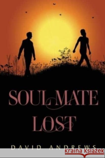 Soul Mate Lost David Andrews 9781800168510 Pegasus Elliot Mackenzie Publishers - książka