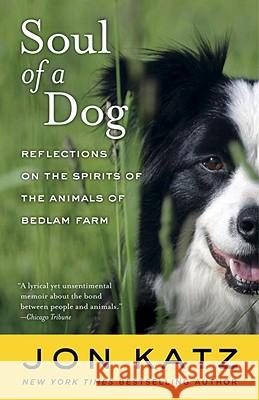 Soul of a Dog: Reflections on the Spirits of the Animals of Bedlam Farm Jon Katz 9780812977738 Random House Trade - książka