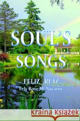 Soul's Song Ruiz, Feliz 9798629856412 Independently Published - książka