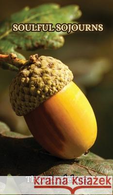 Soulful Sojourns Thor Castlebury 9789916854815 Creative Arts Management Ou - książka