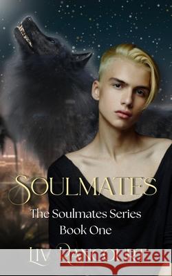 Soulmates LIV Rancourt 9780998582290 LIV Rancourt - książka