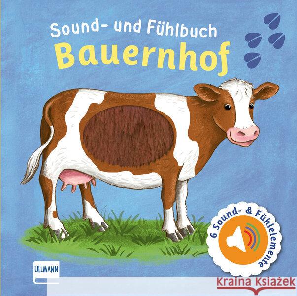 Sound- und Fühlbuch Bauernhof (mit 6 Sounds und Fühlelementen) Doering, Svenja 9783741524806 Ullmann Medien - książka