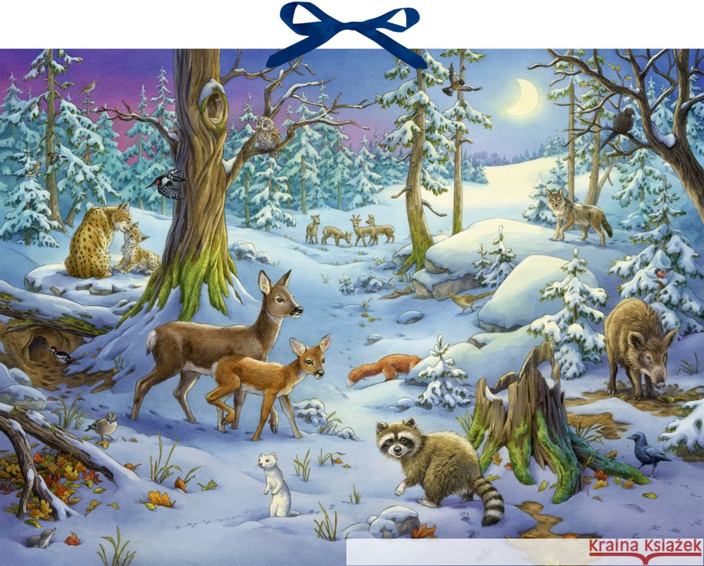 Sound-Adventskalender - Hört ihr die Tiere im Winterwald?  4050003722573 Coppenrath, Münster - książka