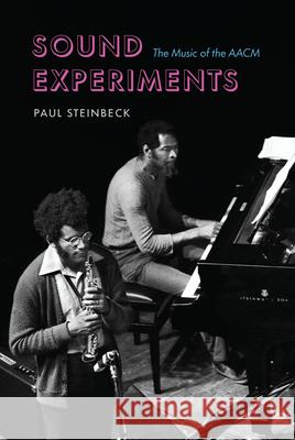 Sound Experiments: The Music of the Aacm Steinbeck, Paul 9780226820095 The University of Chicago Press - książka