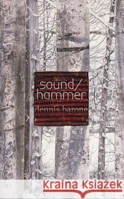 Sound/Hammer Dennis Barone 9781935835141 Quale Press LLC - książka