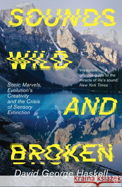 Sounds Wild and Broken David George Haskell 9780571362097 Faber & Faber - książka