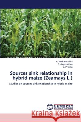 Sources sink relationship in hybrid maize (Zeamays L.) Vivekanandhini, A. 9783659634710 LAP Lambert Academic Publishing - książka
