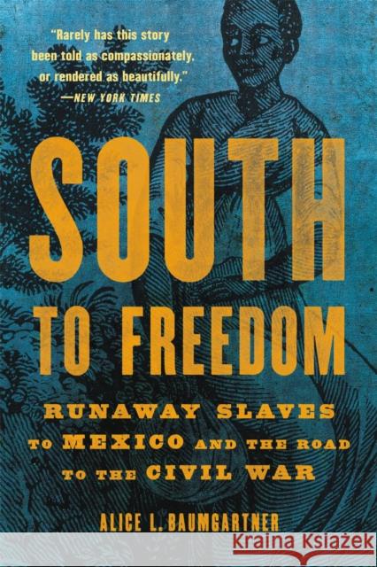 South to Freedom: Runaway Slaves to Mexico and the Road to the Civil War Alice L. Baumgartner 9781541617766 Basic Books - książka