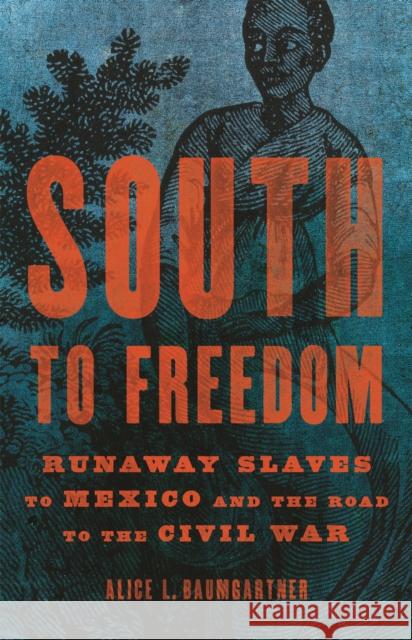 South to Freedom: Runaway Slaves to Mexico and the Road to the Civil War Alice L. Baumgartner 9781541617780 Basic Books - książka