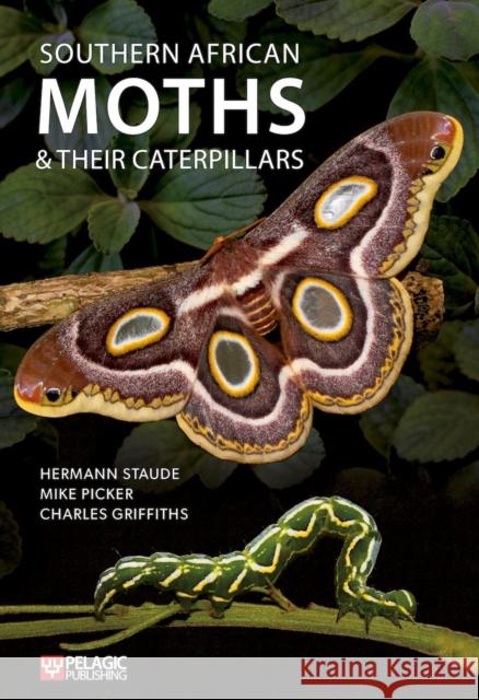 Southern African Moths and Their Caterpillars Hermann Staude Mike Picker Charles Griffiths 9781784273477 Pelagic Publishing - książka