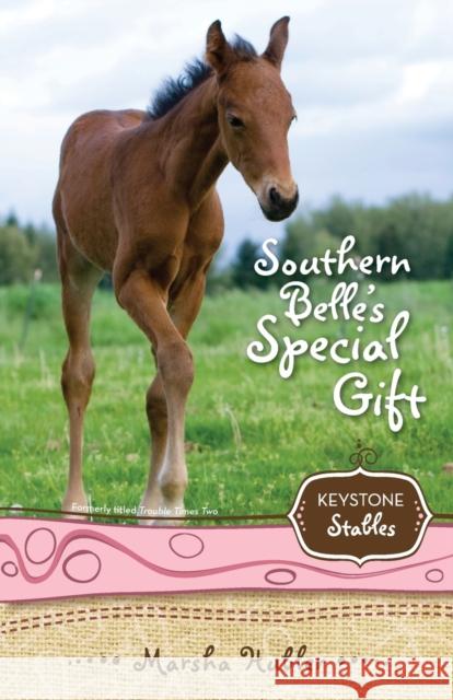 Southern Belle's Special Gift: 3 Hubler, Marsha 9780310717942 Zonderkidz - książka