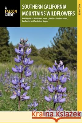 Southern California Mountains Wildflowers: A Field Guide to Wildflowers Above 5,000 Feet: San Bernardino, San Gabriel, and San Jacinto Ranges MacKay, Pam 9781493019212 Falcon Guides - książka