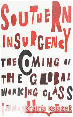 Southern Insurgency: The Coming of the Global Working Class Immanuel Ness 9780745336008 Pluto Press (UK) - książka