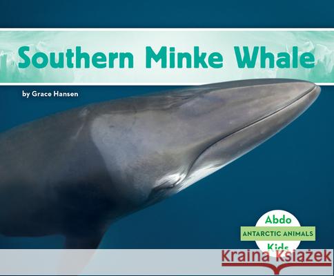 Southern Minke Whale Grace Hansen 9781098209414 Abdo Kids Jumbo - książka