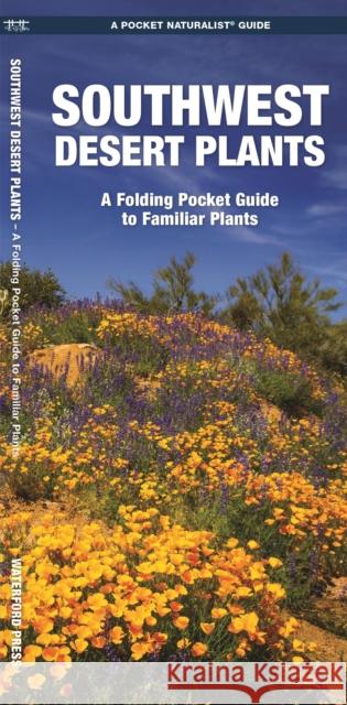 Southwestern Desert Plants: An Introduction to Familiar Species James Kavanagh Raymond Leung 9781583552087 Waterford Press - książka