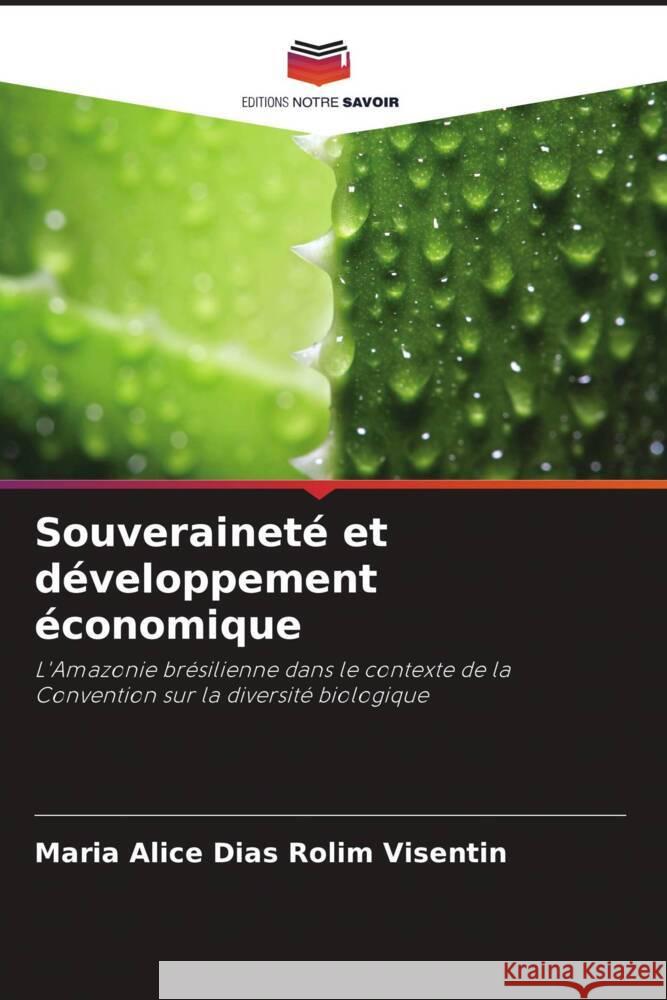 Souveraineté et développement économique Dias Rolim Visentin, Maria Alice 9786206301554 Editions Notre Savoir - książka