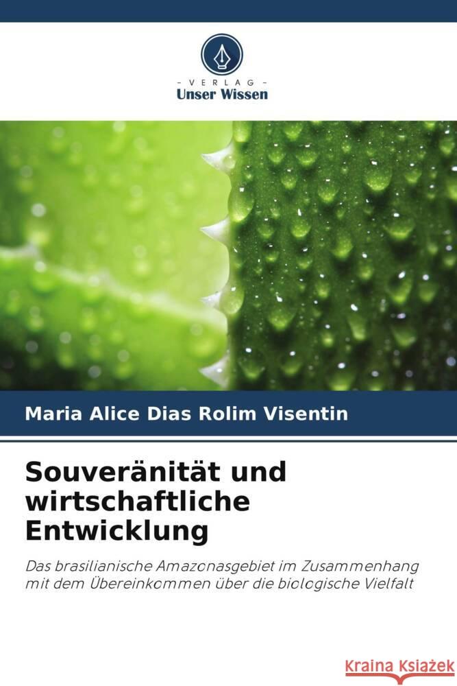 Souveränität und wirtschaftliche Entwicklung Dias Rolim Visentin, Maria Alice 9786206301493 Verlag Unser Wissen - książka