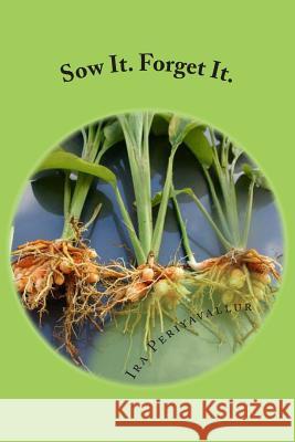 Sow It. Forget It.: A Layman's Guide to Planting: Curcuma longa (Volume 1) Periyavallur, Ira 9781508710486 Createspace - książka