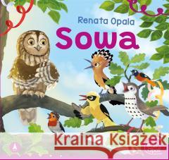 Sowa Renata Opala 9788382074925 Skrzat - książka