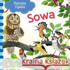 Sowa Renata Opala 9788382079340 Skrzat - książka