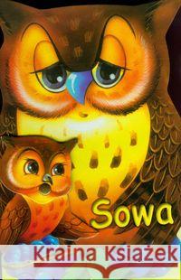 Sowa LIWONA Wejner Rafał 9788375701302 Liwona - książka