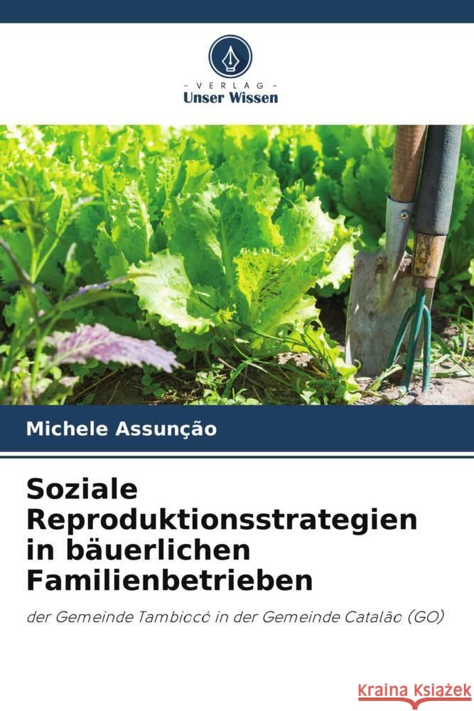 Soziale Reproduktionsstrategien in bäuerlichen Familienbetrieben Assunção, Michele 9786208219369 Verlag Unser Wissen - książka