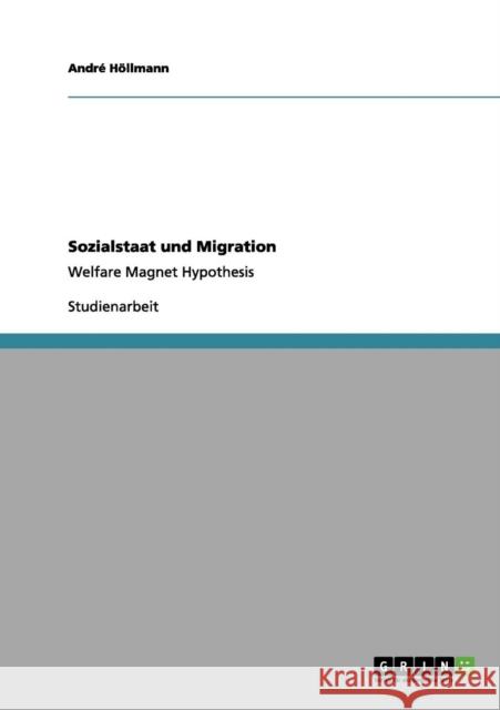 Sozialstaat und Migration: Welfare Magnet Hypothesis Höllmann, André 9783656117193 Grin Verlag - książka